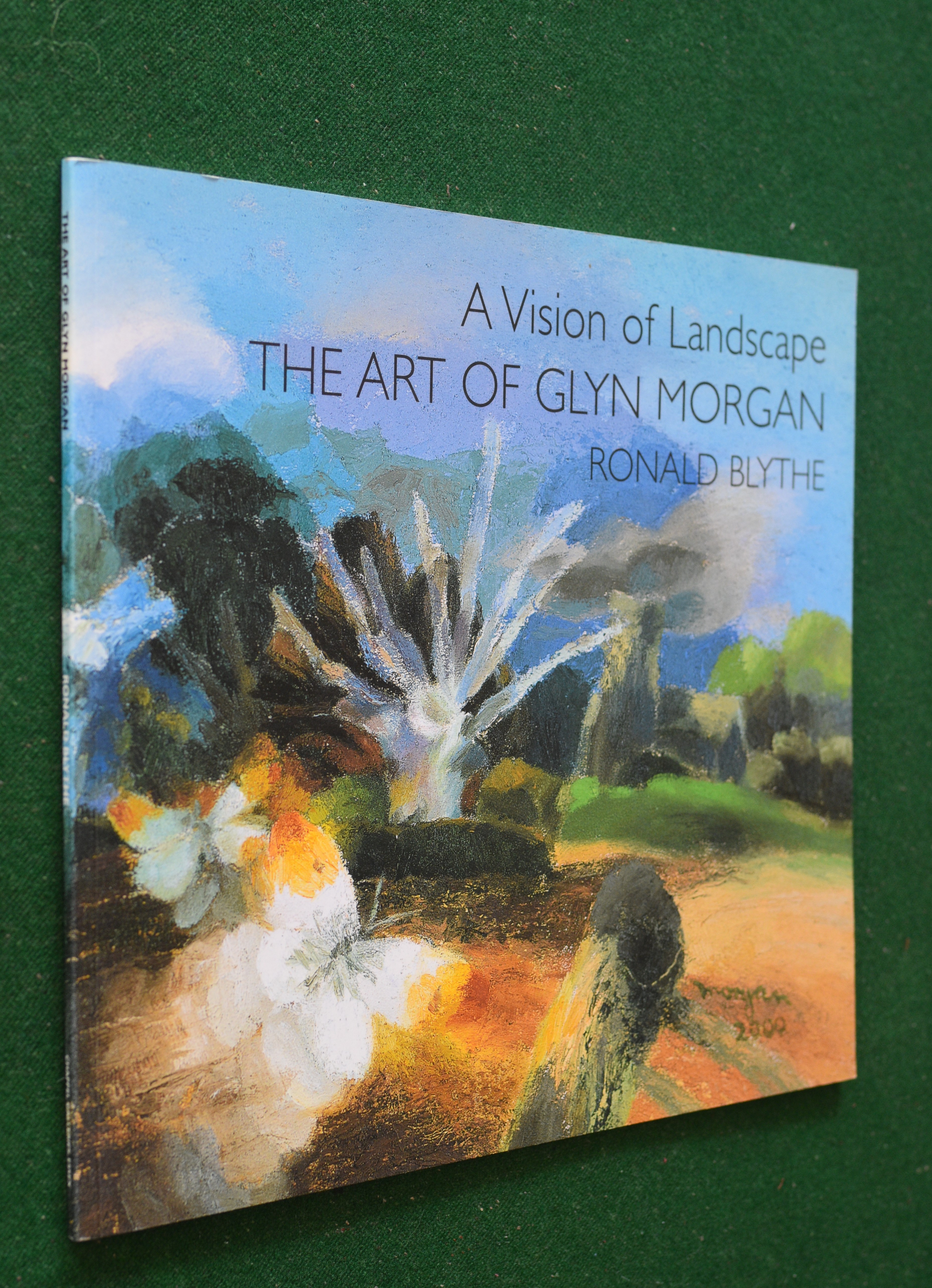Image for A Vision of Landscape The Art of Glyn Morgan