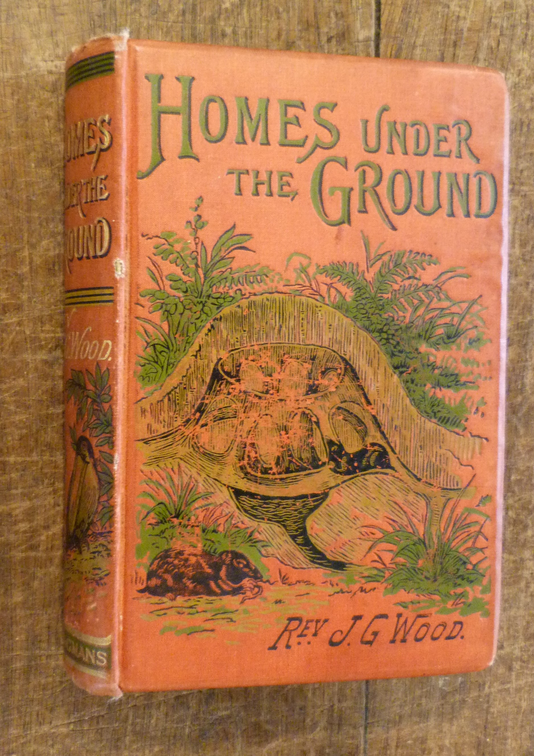 Homes Under The Ground A Description Of Animals Which Make Their Homes In The Ground